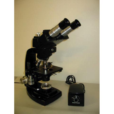 Bausch & Lomb Dynazoom Compound Binocular Microscope